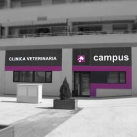 Clínica veterinaria Campus